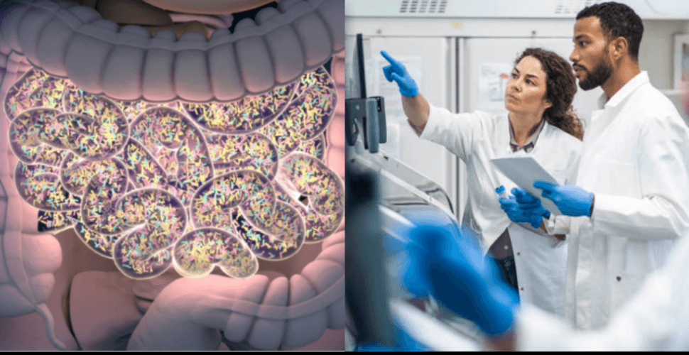 /assets/error-image.png Diario ADN