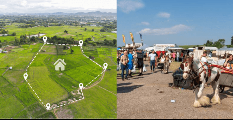 /assets/error-image.png Diario ADN